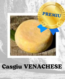 Cuncorsu Rigiunale di i casgi casani Fiera di u casgiu Palmares 2023 Cuncorsu Rigiunale di i casgi casani Fiera di u casgiu Palmares 2023