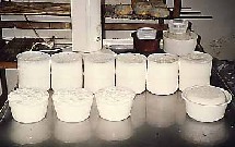 Les fromages de Corse Les fromages de Corse