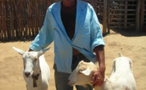 Sviluppu d'altru : Produire du lait de chèvre dans le Cariri au Nord Ouest du Brésil 